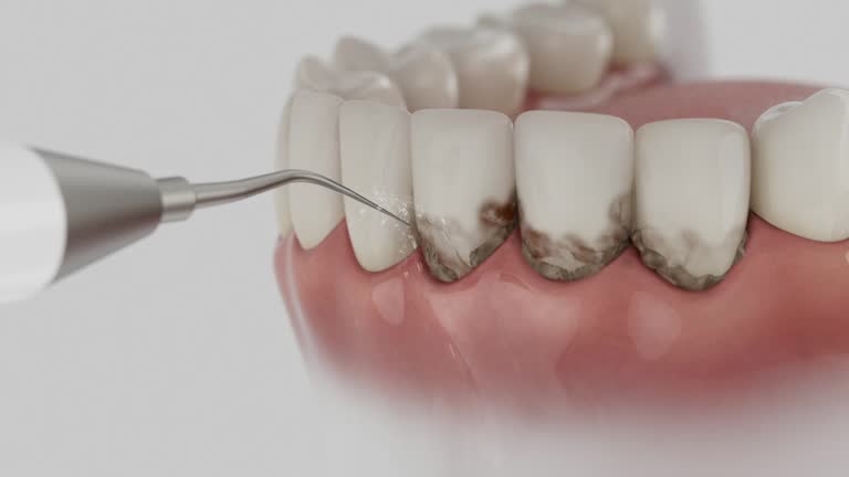 Reliable Dental contractor in Pecan Grove, TX by Dentist Open Now